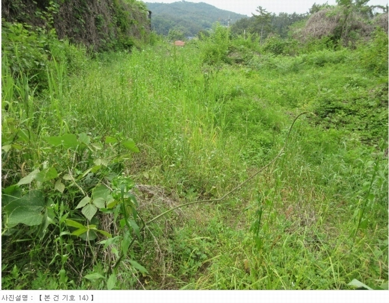 2024타경22216 경상남도 고성군 고성읍 신월리 산152-3 임야 경매 이미지