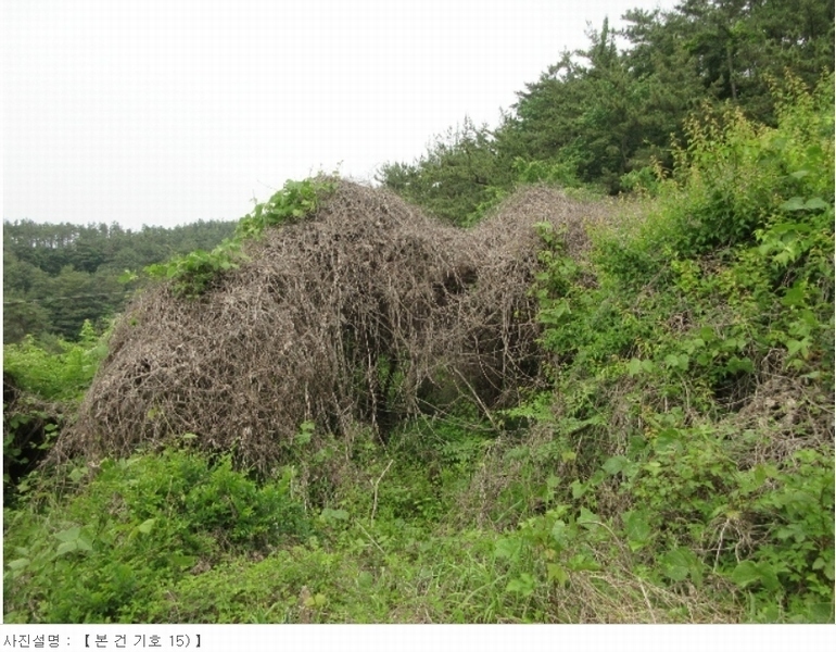 2024타경22216 경상남도 고성군 고성읍 신월리 산152-3 임야 경매 이미지