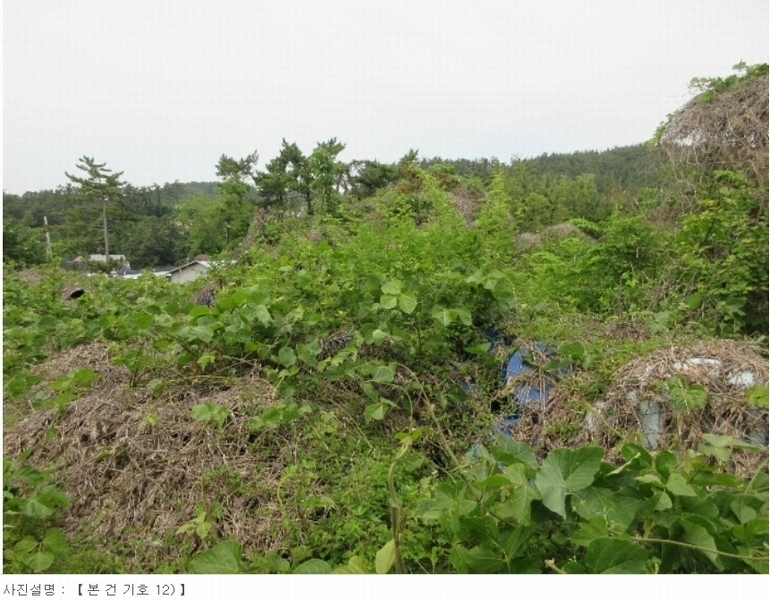 2024타경22216 경상남도 고성군 고성읍 신월리 산152-3 임야 경매 이미지