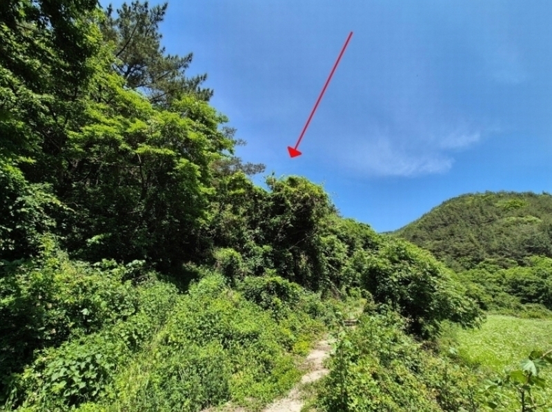 2024타경24519 경상남도 고성군 개천면 나선리 산295 임야 경매 이미지