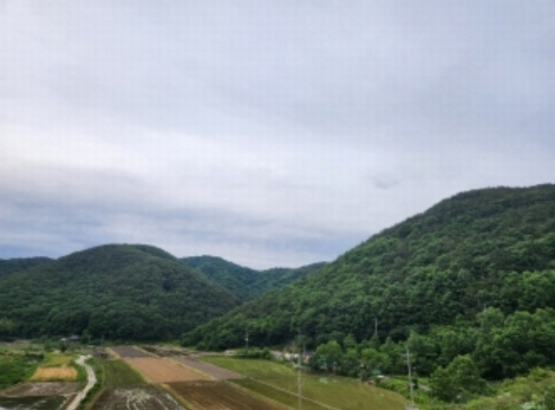 2024타경24519 경상남도 고성군 개천면 나선리 산295 임야 경매 이미지