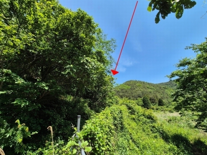 2024타경24519 경상남도 고성군 개천면 나선리 산295 임야 경매 이미지