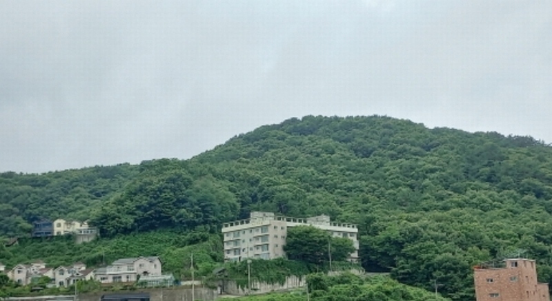 2024타경26416 경상남도 거제시 연초면 오비리 산137 임야 경매 이미지