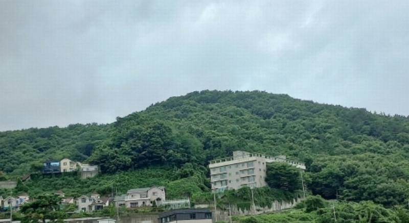 2024타경26416 경상남도 거제시 연초면 오비리 산137 임야 경매 이미지