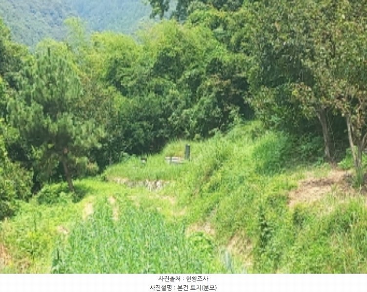 2024타경27617 경상남도 거제시 연초면 연사리 651 농지 경매 이미지