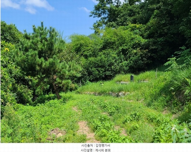 2024타경27617 경상남도 거제시 연초면 연사리 651 농지 경매 이미지