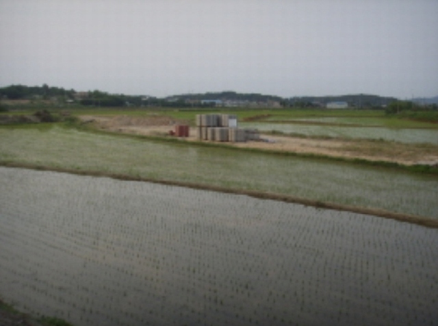 2009타경5259 경기도 이천시 대월면 부필리 7 농지 경매 이미지