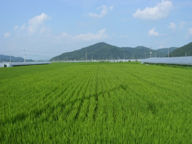 2009타경23302 경상남도 의령군 부림면 감암리 523-3 농지 경매 이미지