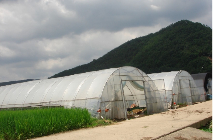 2009타경23302 경상남도 의령군 부림면 감암리 523-3 농지 경매 이미지