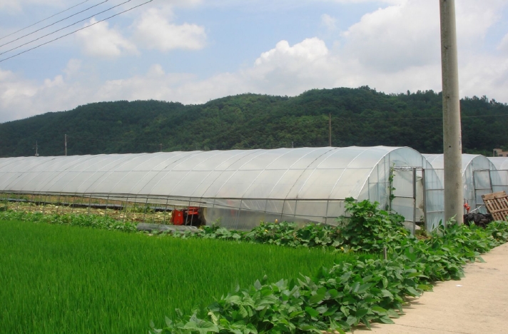 2009타경23302 경상남도 의령군 부림면 감암리 523-3 농지 경매 이미지