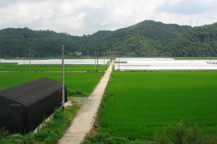 2009타경23302 경상남도 의령군 부림면 감암리 523-3 농지 경매 이미지