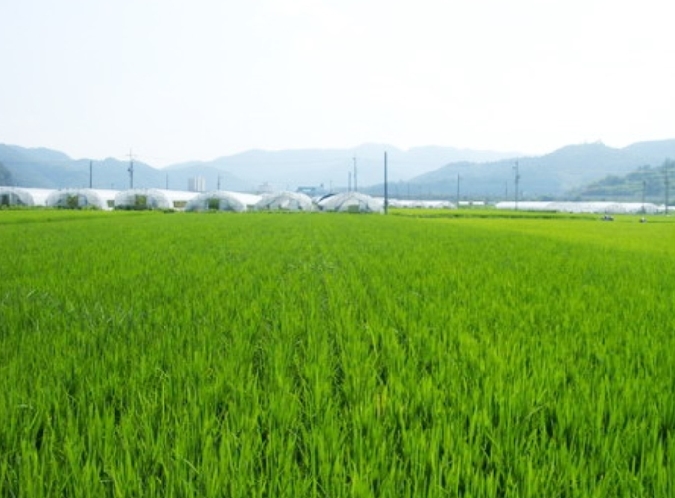 2009타경23302 경상남도 의령군 부림면 감암리 523-3 농지 경매 이미지