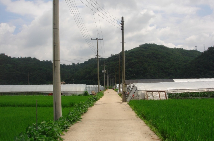 2009타경23302 경상남도 의령군 부림면 감암리 523-3 농지 경매 이미지