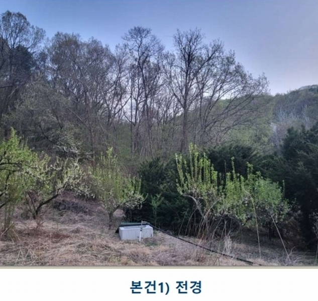 2025타경30453 충청북도 충주시 앙성면 조천리 산39-10 임야 경매 이미지