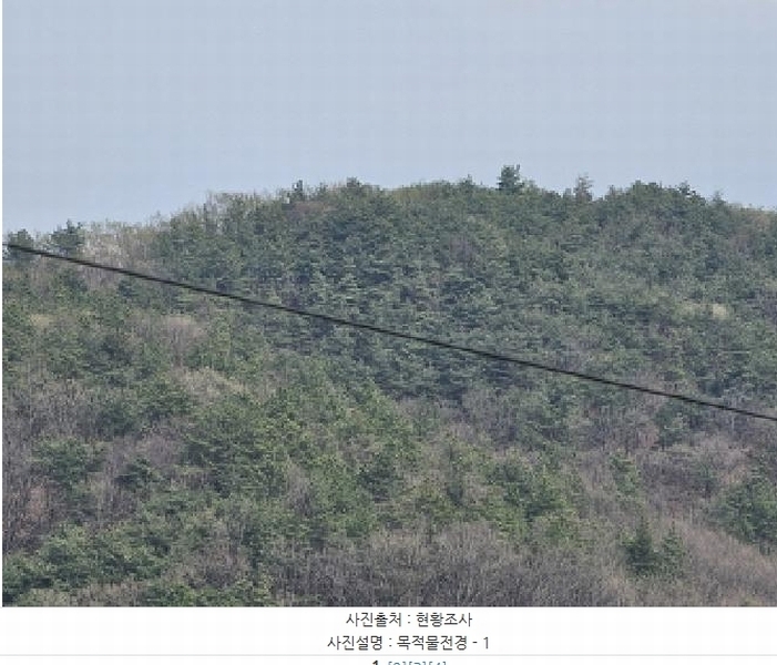 2025타경30453 충청북도 충주시 앙성면 조천리 산39-10 임야 경매 이미지