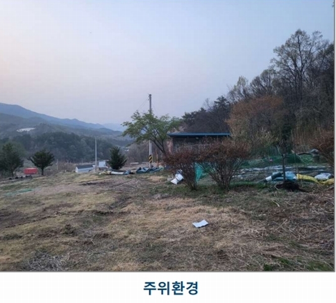 2025타경30453 충청북도 충주시 앙성면 조천리 산39-10 임야 경매 이미지