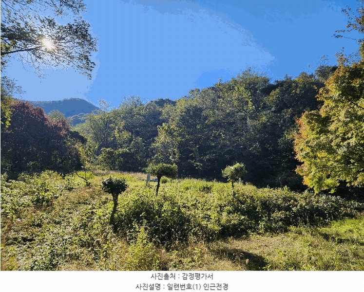 2025타경360 전북특별자치도 정읍시 쌍암동 2-1 임야 경매 이미지