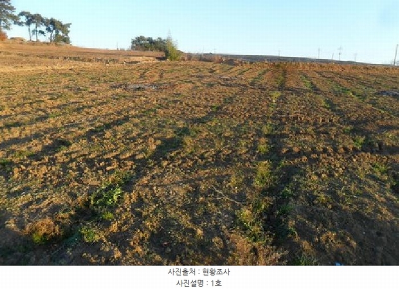 2025타경30495 전북특별자치도 고창군 대산면 광대리 1355 농지 경매 이미지