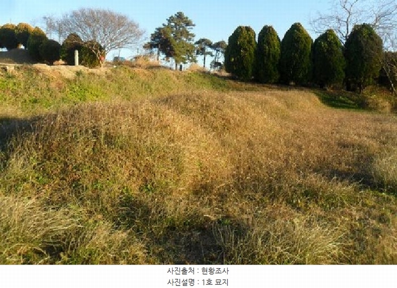 2025타경30495 전북특별자치도 고창군 대산면 광대리 1355 농지 경매 이미지