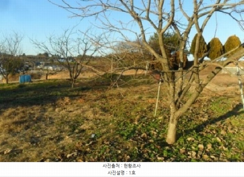 2025타경30495 전북특별자치도 고창군 대산면 광대리 1355 농지 경매 이미지