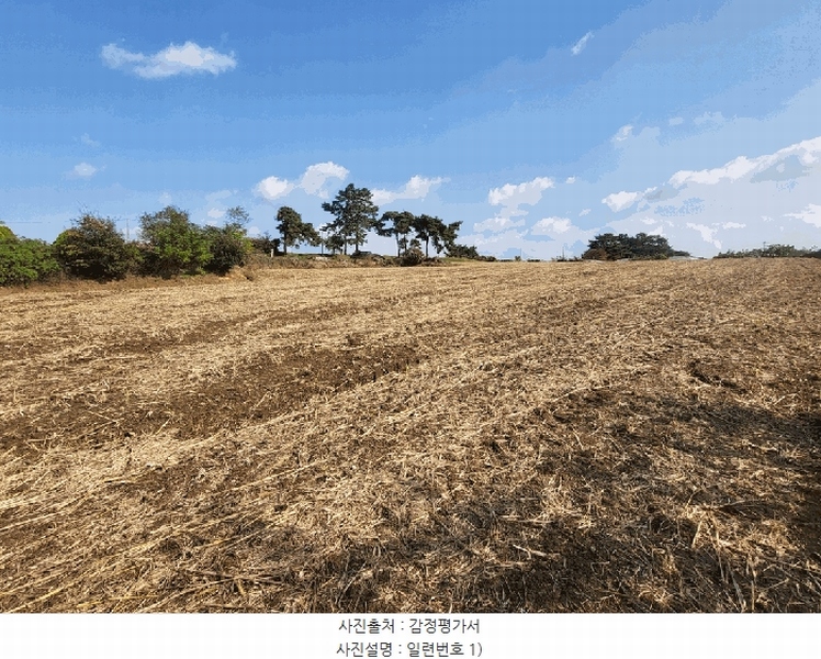 2025타경30495 전북특별자치도 고창군 대산면 광대리 1355 농지 경매 이미지