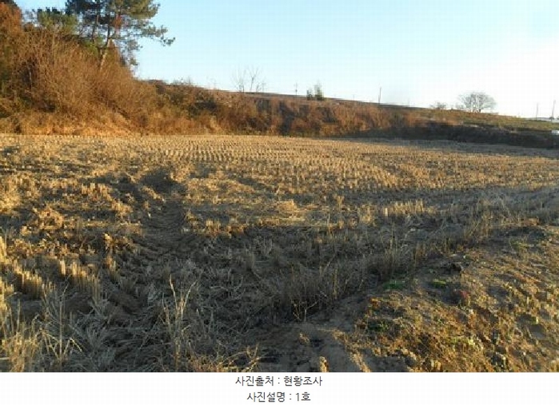 2025타경30495 전북특별자치도 고창군 대산면 광대리 1355 농지 경매 이미지