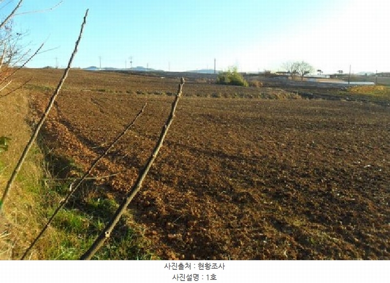 2025타경30495 전북특별자치도 고창군 대산면 광대리 1355 농지 경매 이미지