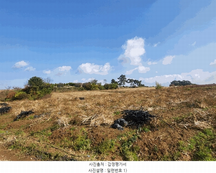 2025타경30495 전북특별자치도 고창군 대산면 광대리 1355 농지 경매 이미지