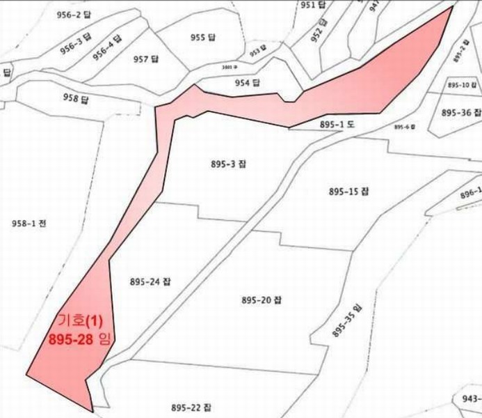 2025타경52182 전라남도 순천시 승주읍 구강리 895-28 임야 경매 이미지