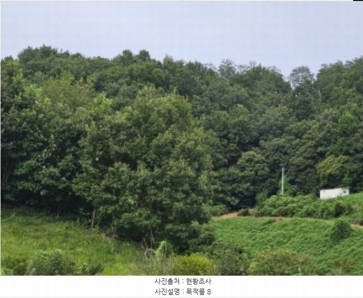 2024타경34152 충청북도 충주시 용관동 산26-1 임야 경매 이미지