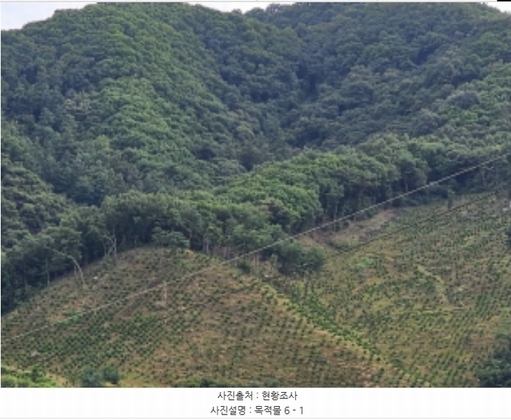 2024타경34152 충청북도 충주시 용관동 산31 임야 경매 이미지