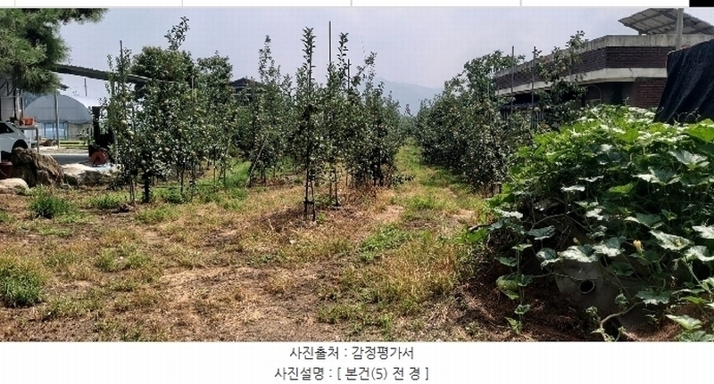 2024타경34152 충청북도 충주시 용관동 383-14 과수원 경매 이미지