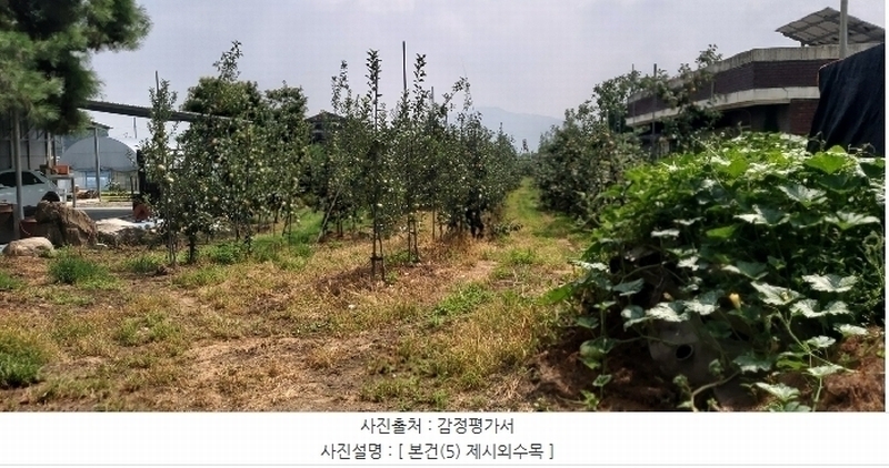 2024타경34152 충청북도 충주시 용관동 383-14 과수원 경매 이미지