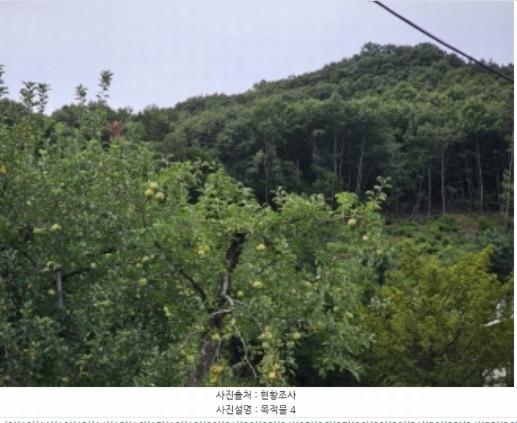 2024타경34152 충청북도 충주시 용관동 산28-1 임야 경매 이미지