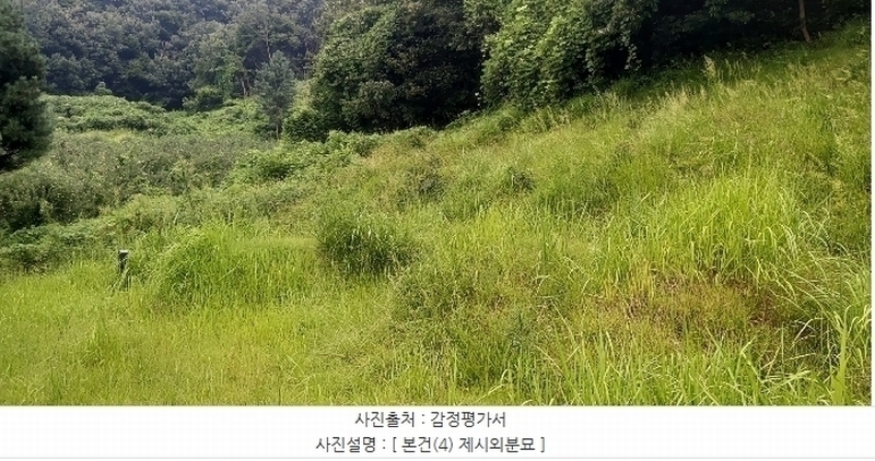 2024타경34152 충청북도 충주시 용관동 산28-1 임야 경매 이미지