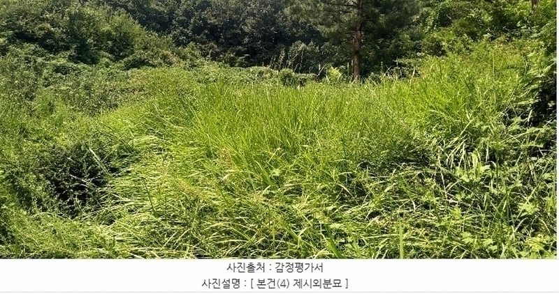 2024타경34152 충청북도 충주시 용관동 산28-1 임야 경매 이미지