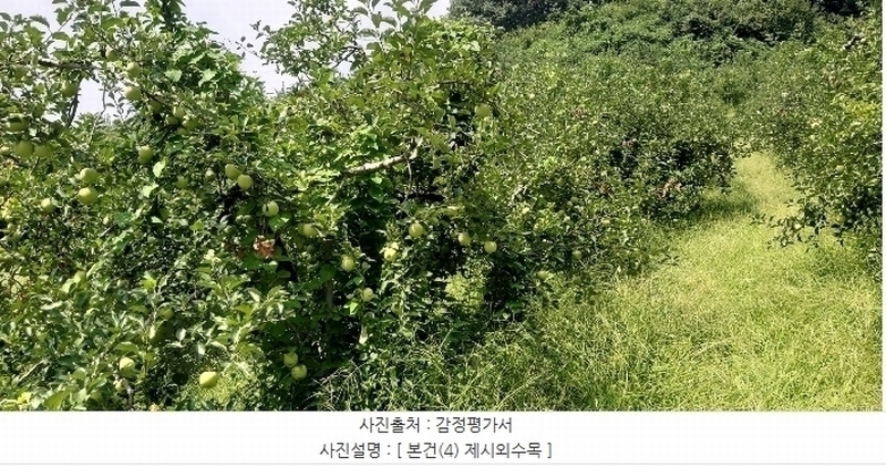 2024타경34152 충청북도 충주시 용관동 산28-1 임야 경매 이미지