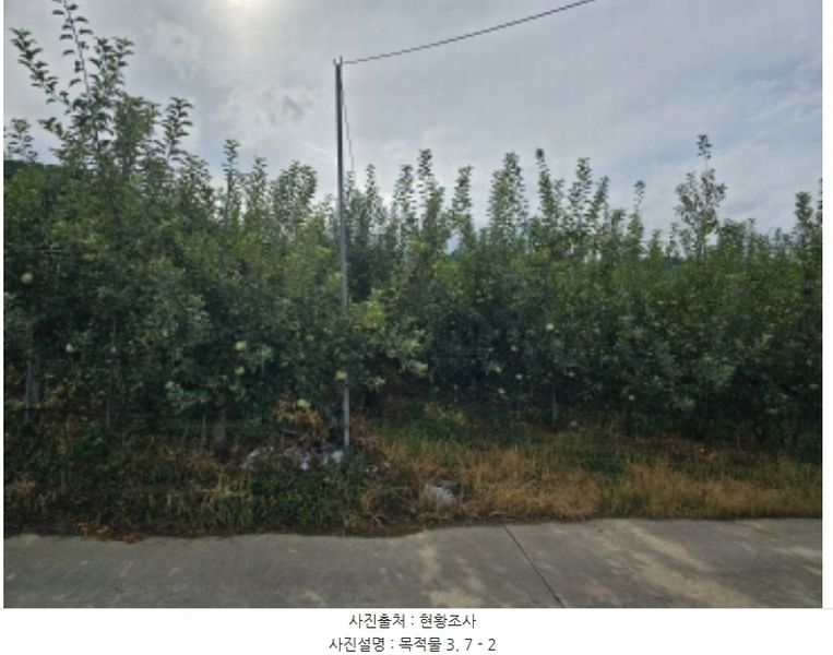 2024타경34152 충청북도 충주시 용관동 366 과수원 경매 이미지