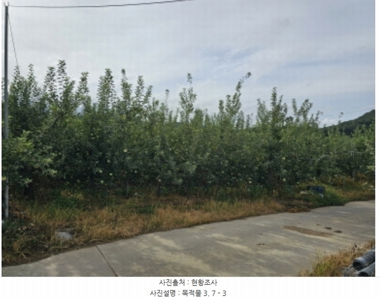 2024타경34152 충청북도 충주시 용관동 366 과수원 경매 이미지