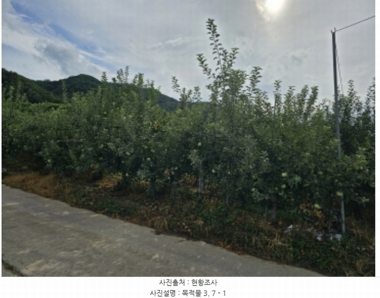 2024타경34152 충청북도 충주시 용관동 366 과수원 경매 이미지