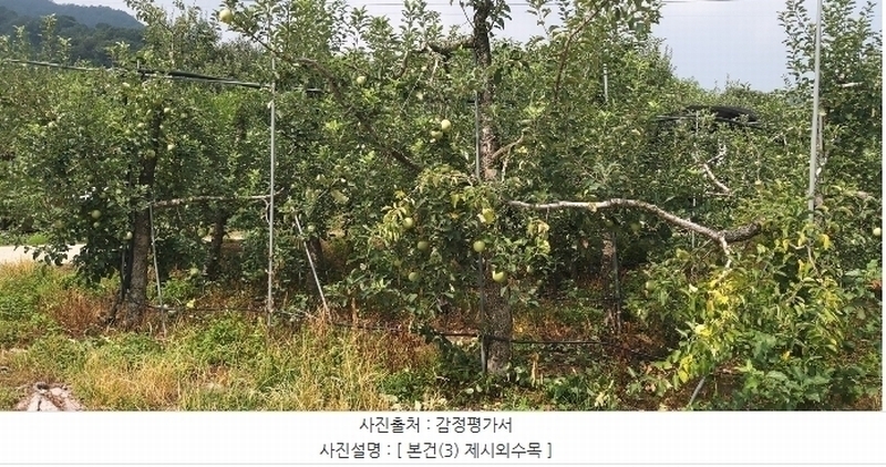 2024타경34152 충청북도 충주시 용관동 366 과수원 경매 이미지