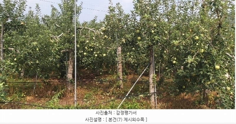 2024타경34152 충청북도 충주시 용관동 366 과수원 경매 이미지