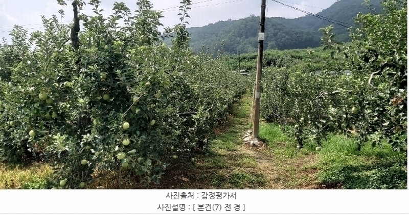 2024타경34152 충청북도 충주시 용관동 366 과수원 경매 이미지