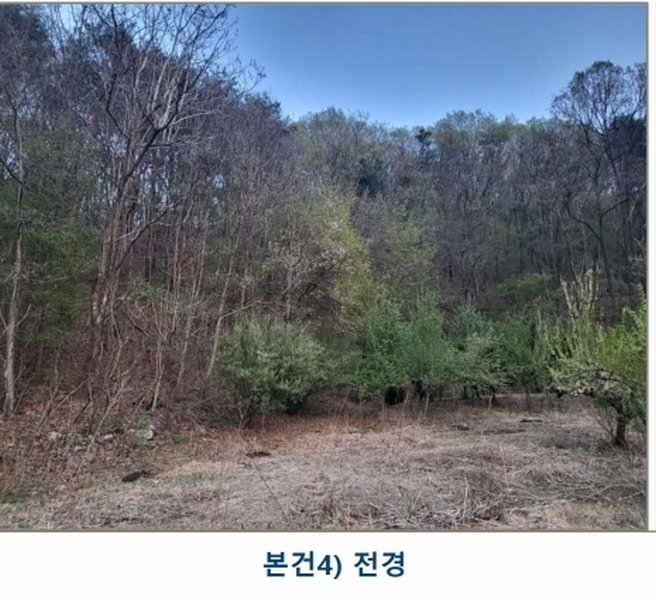 2025타경30453 충청북도 충주시 앙성면 조천리 산39-12 임야 경매 이미지