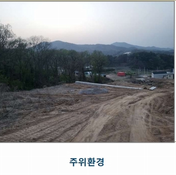 2025타경30453 충청북도 충주시 앙성면 조천리 산39-12 임야 경매 이미지