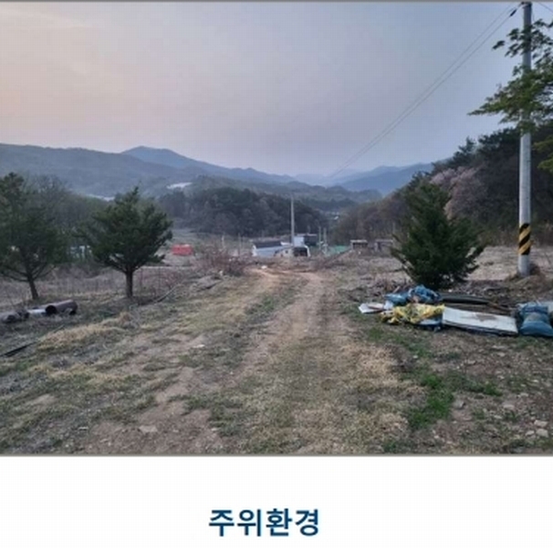 2025타경30453 충청북도 충주시 앙성면 조천리 산39-13 임야 경매 이미지
