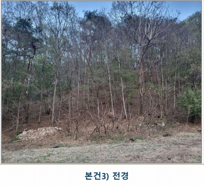 2025타경30453 충청북도 충주시 앙성면 조천리 산39-13 임야 경매 이미지