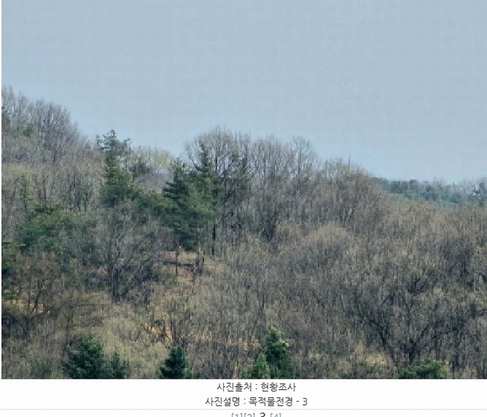 2025타경30453 충청북도 충주시 앙성면 조천리 산39-13 임야 경매 이미지