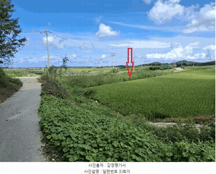 2025타경320 전북특별자치도 고창군 해리면 라성리 1686 농지 경매 이미지