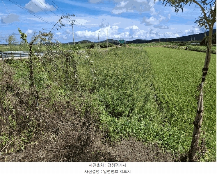 2025타경320 전북특별자치도 고창군 해리면 라성리 1686 농지 경매 이미지